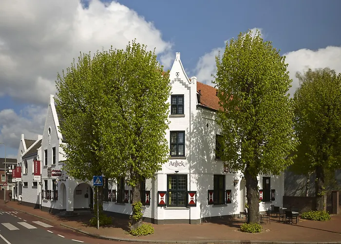 Nieuw Antiek Hotel 3*