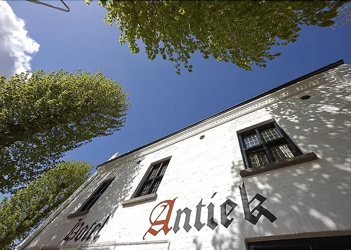 Nieuw Antiek Hotel 3*