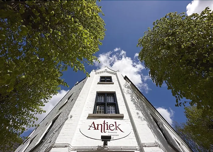 Nieuw Antiek Hotel 3*