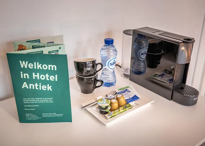 Hotel Nieuw Antiek 3*